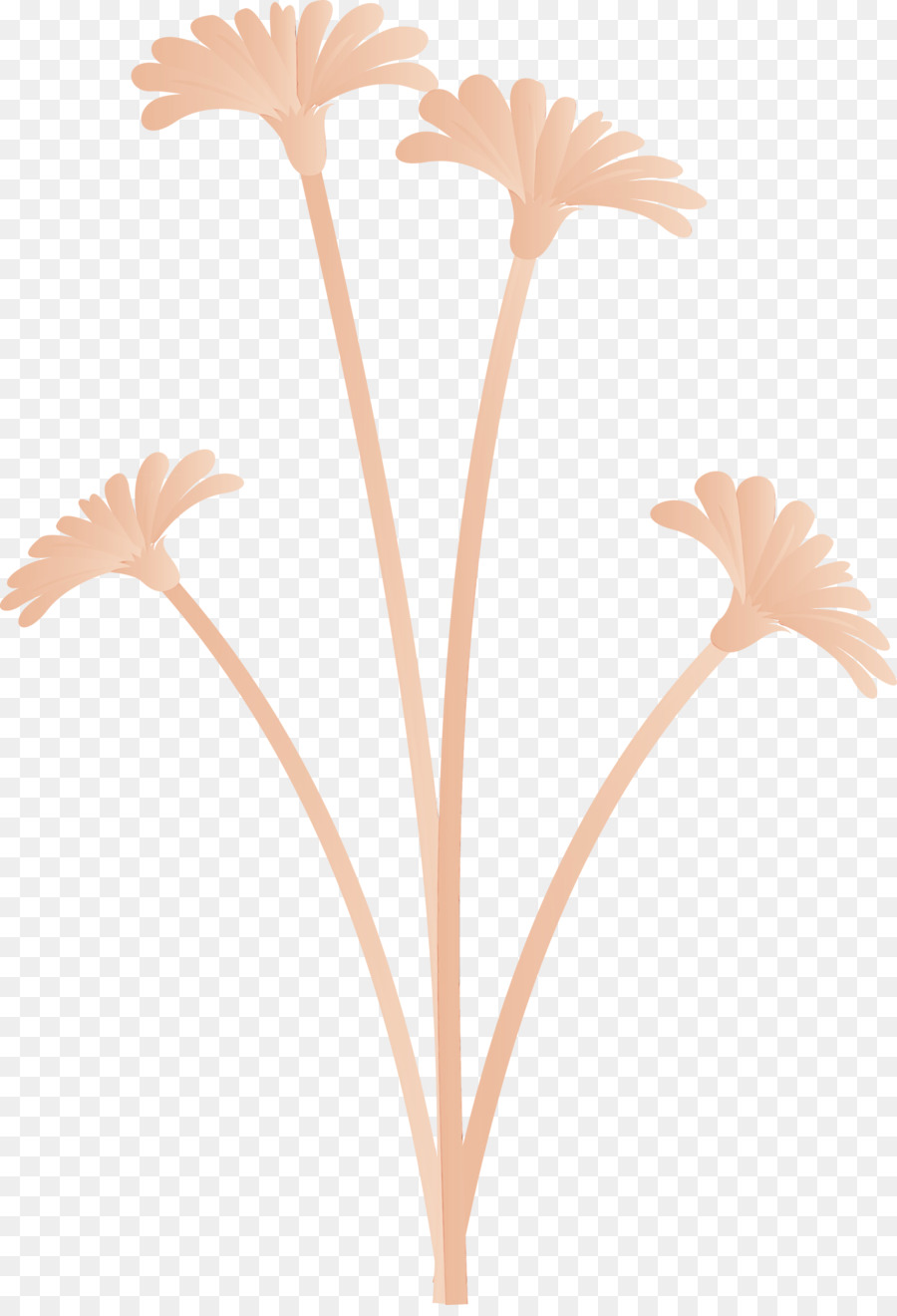 Feuille，Tige De La Plante PNG