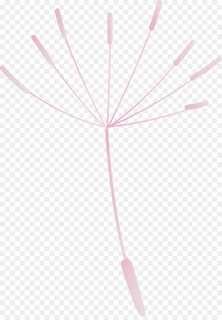 Graine De Pissenlit，Fleur PNG