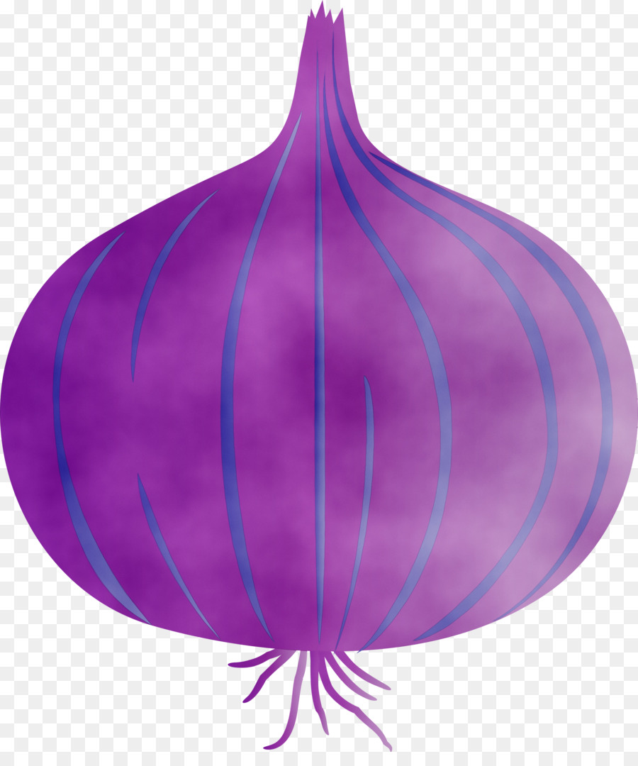 Magenta，Les Plantes PNG