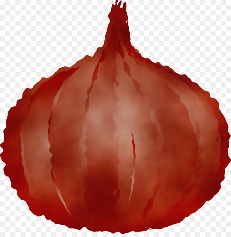 Légume，Fruit PNG