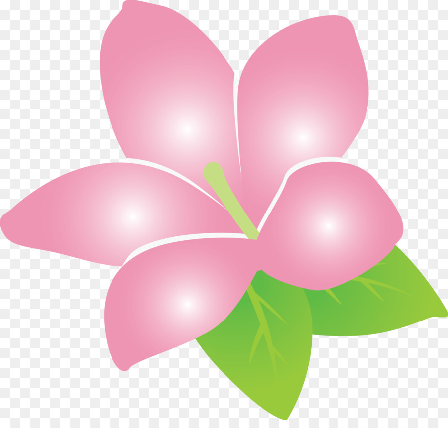 Fleur，Fleurir PNG