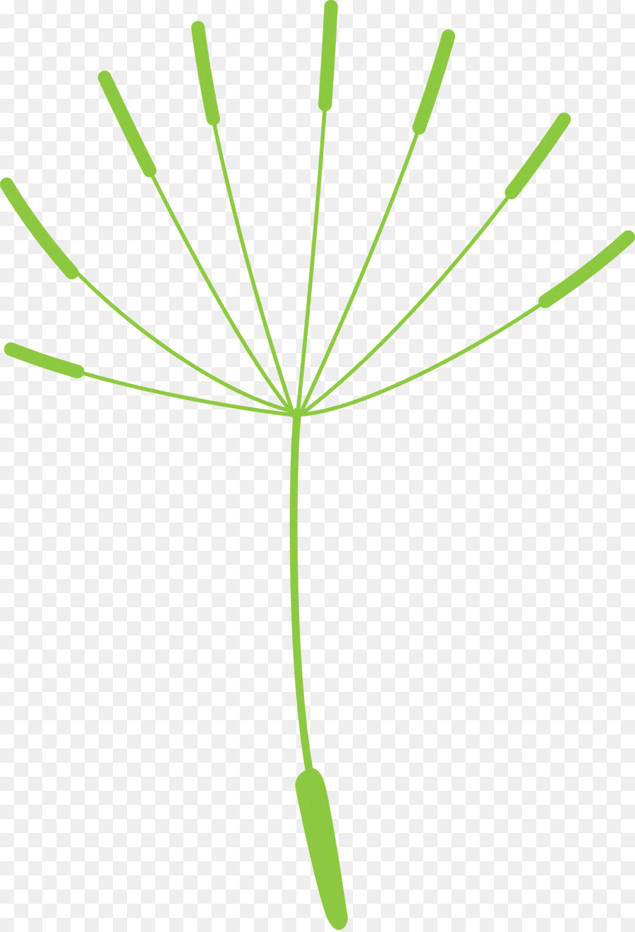 Feuille，Tige De La Plante PNG