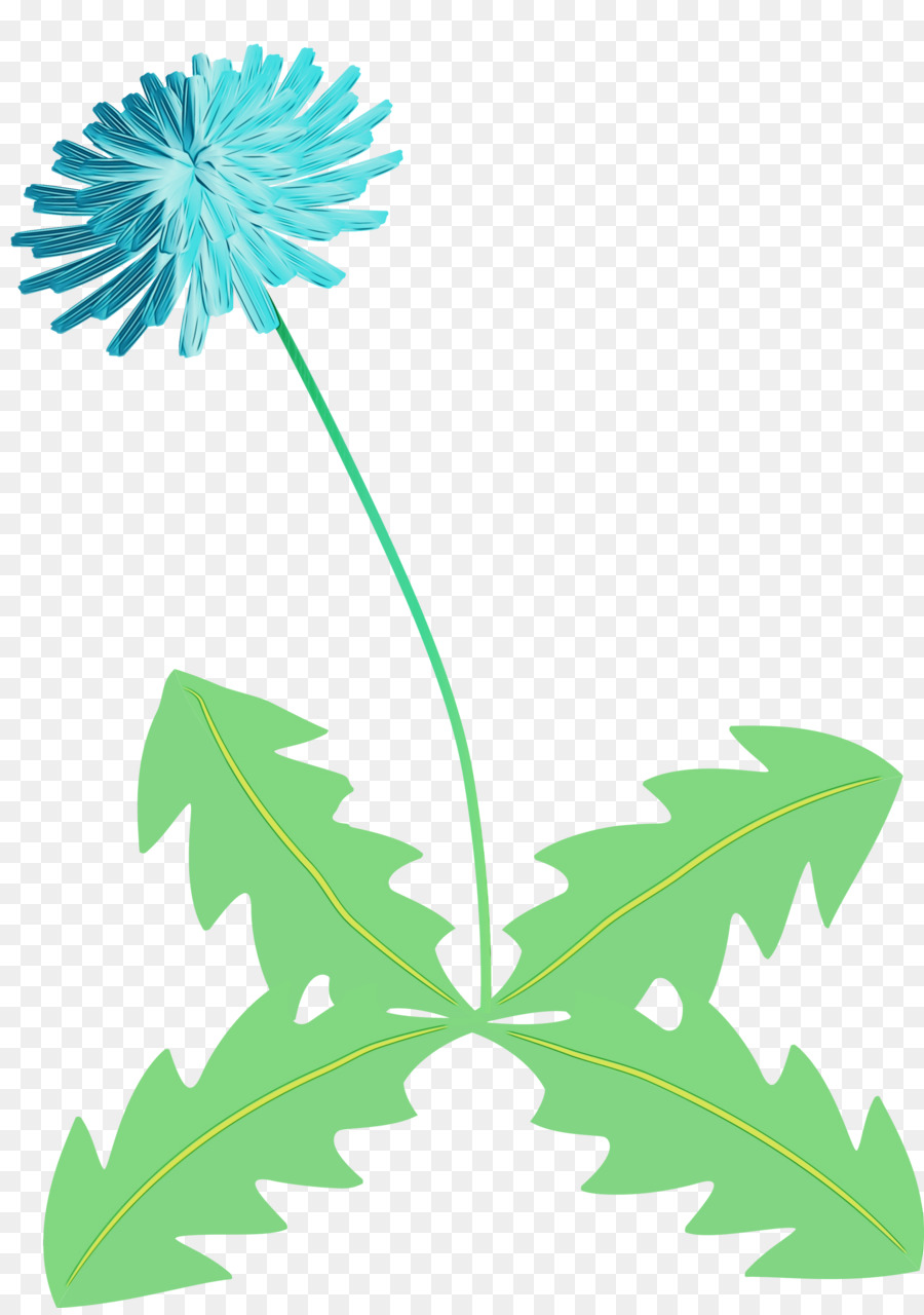 Fleur，Pédicelle PNG