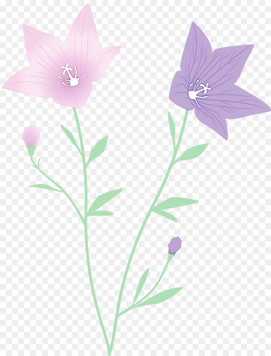 Fleur，Tige De La Plante PNG