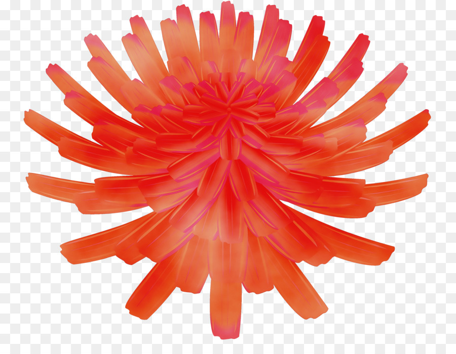 Fleur，Orange PNG