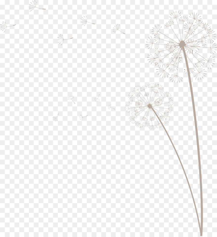 Fleur，Tige De La Plante PNG