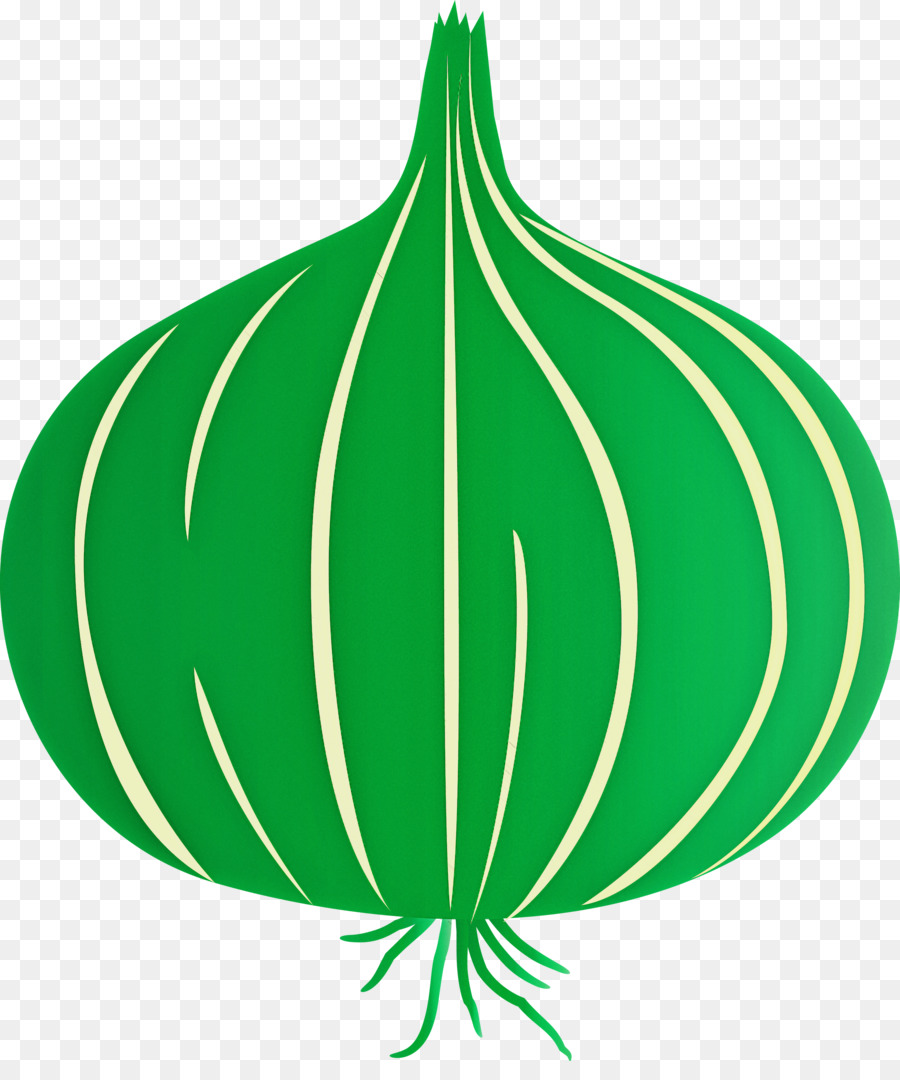 Tige De La Plante，Feuille PNG