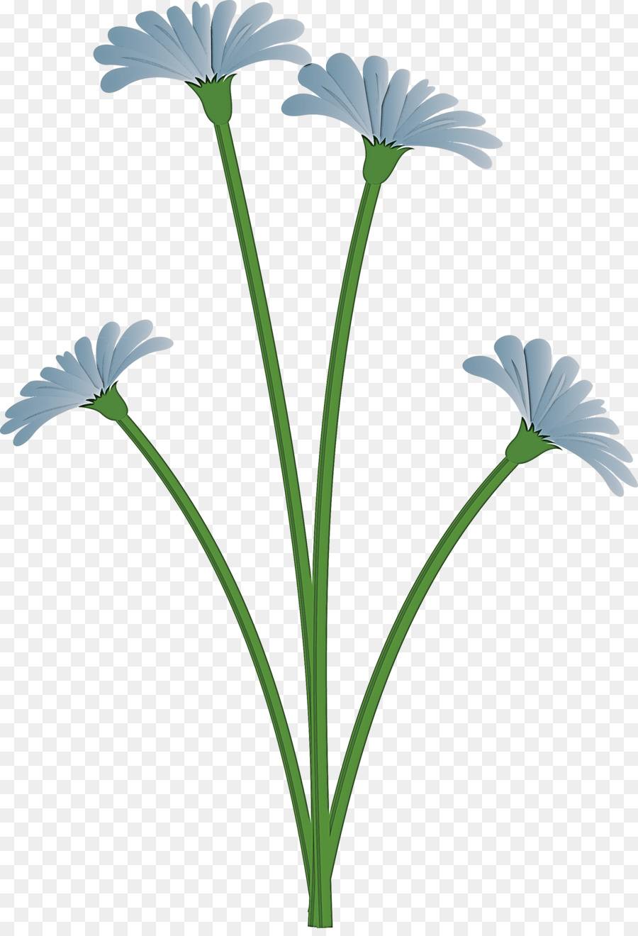 Fleur，Feuille PNG