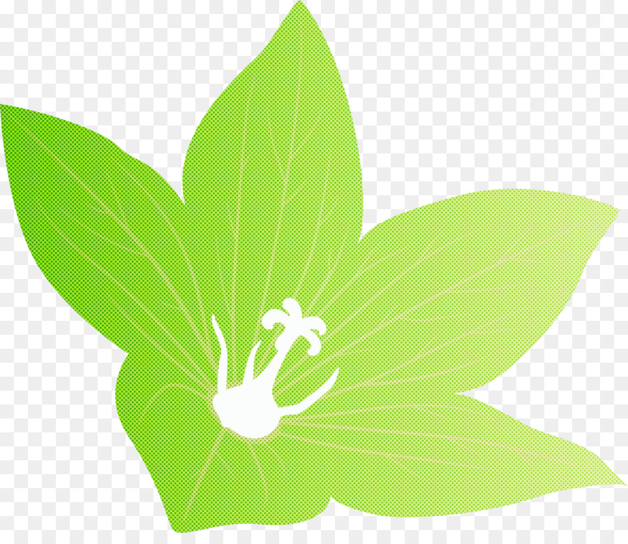 Tige De La Plante，Feuille PNG