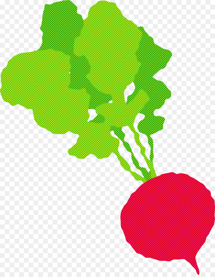 Feuille，Tige De La Plante PNG