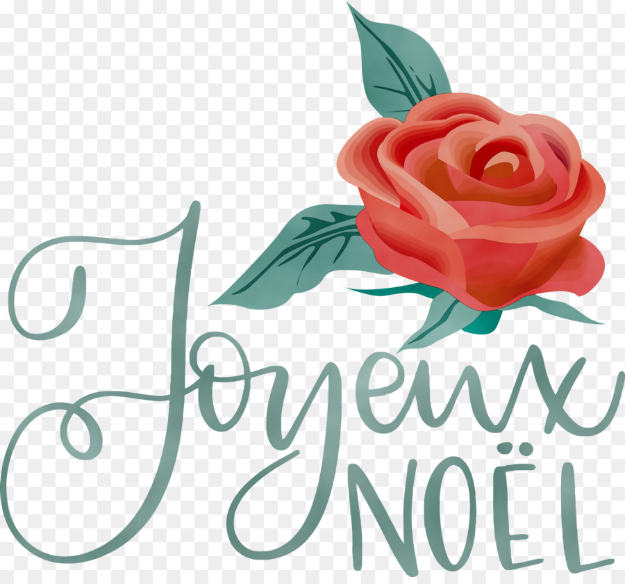 Rose，Noël PNG