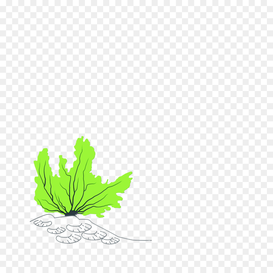 Feuille，Tige De La Plante PNG