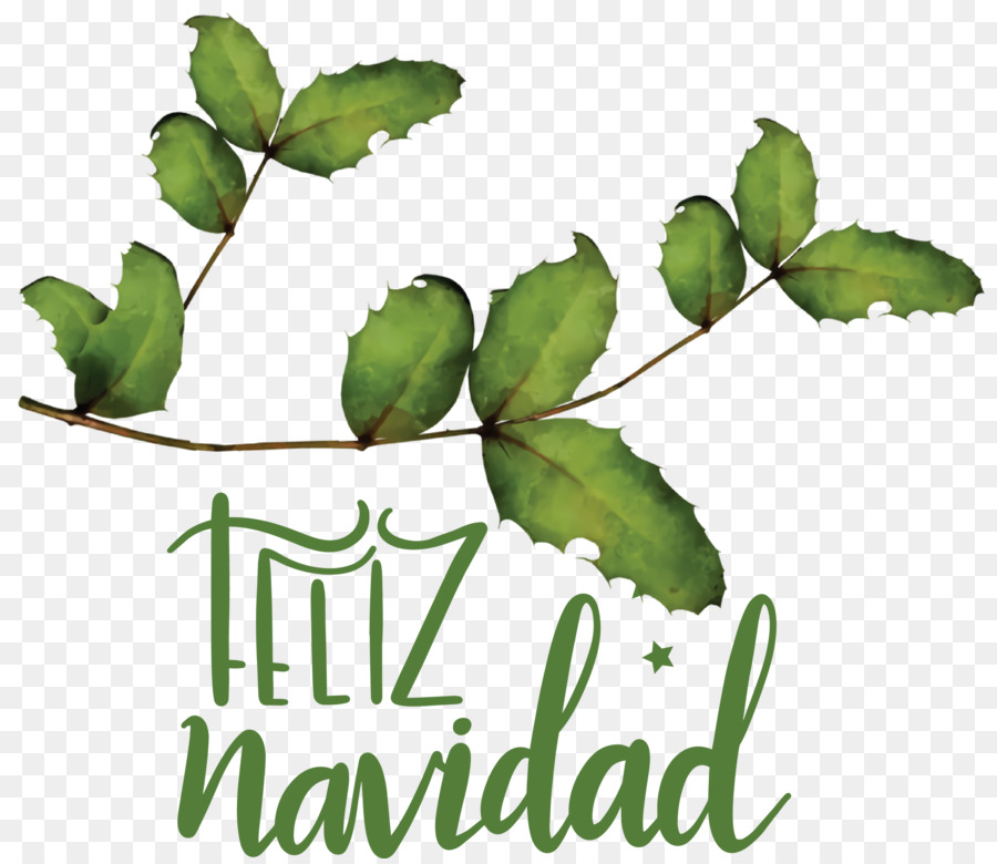 Feliz Navidad，Feuilles PNG