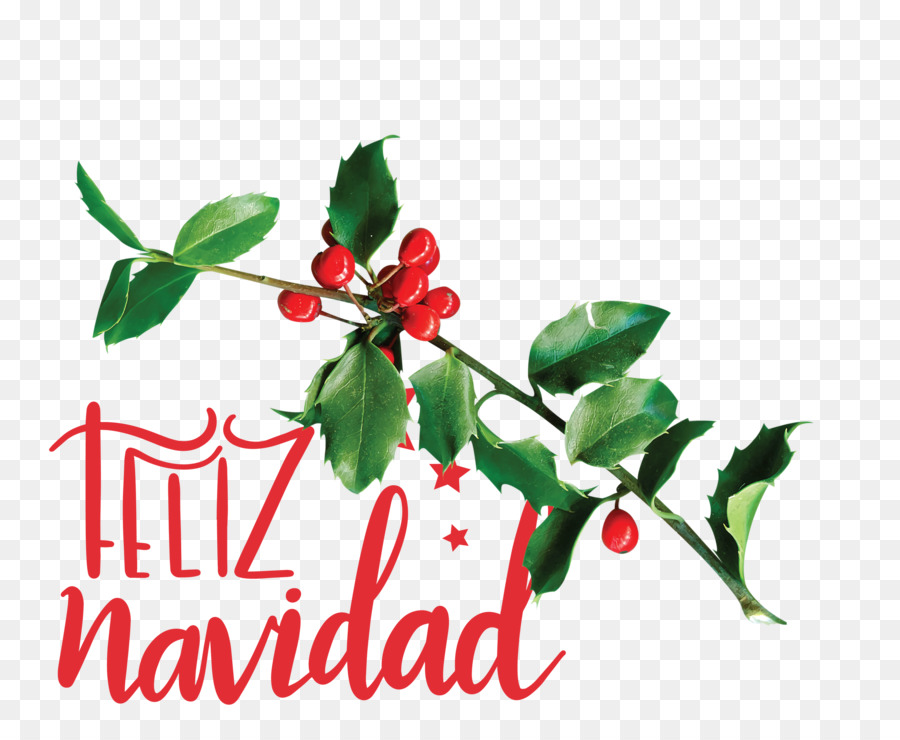 Feliz Navidad，Houx PNG