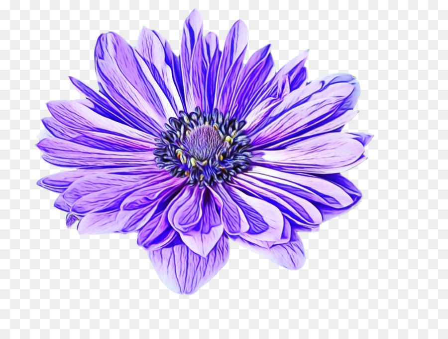 Fleurs Violettes，Fleurir PNG