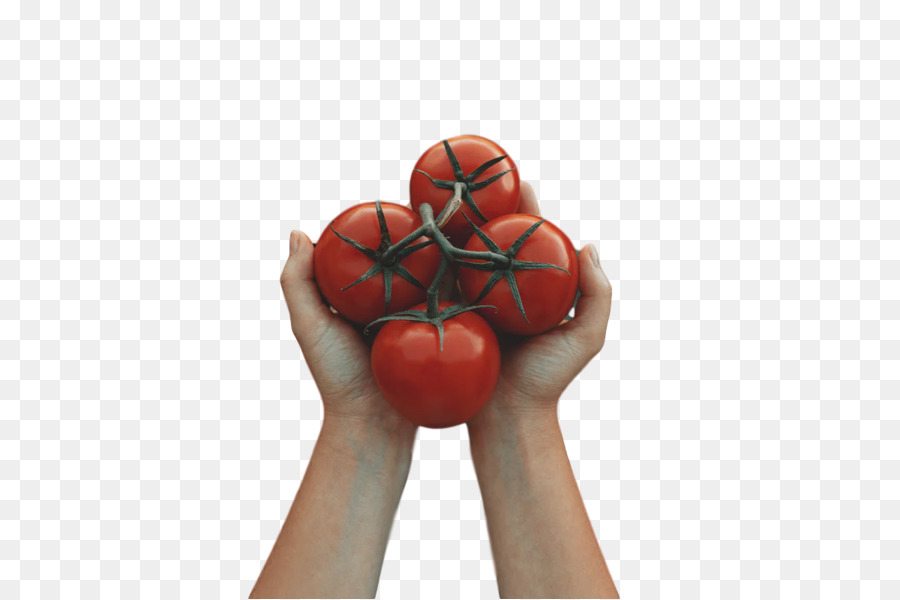 Tomate，Fruits PNG