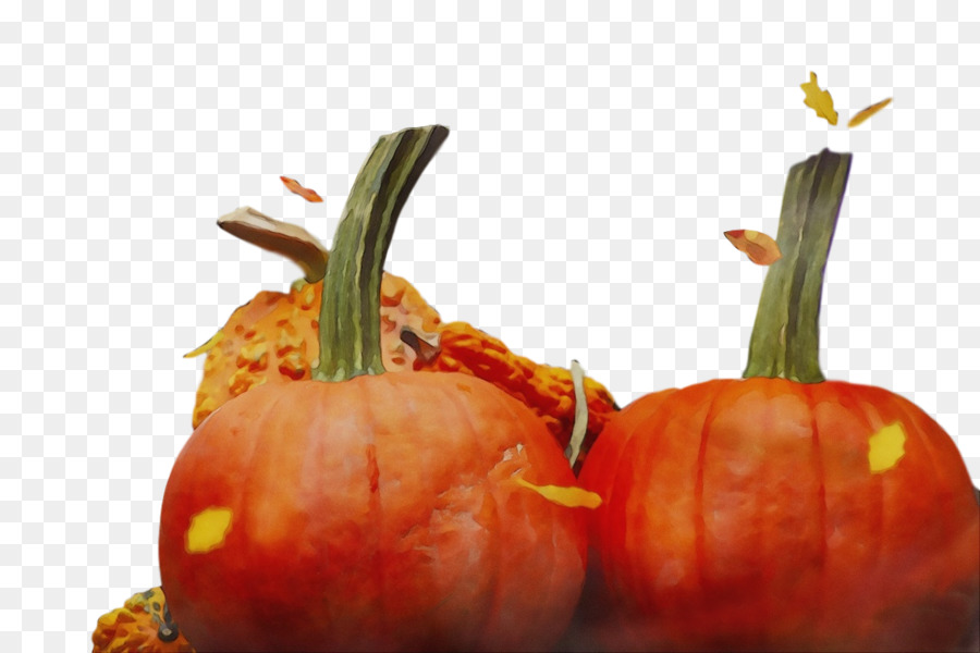 Squash，Courge D'hiver PNG