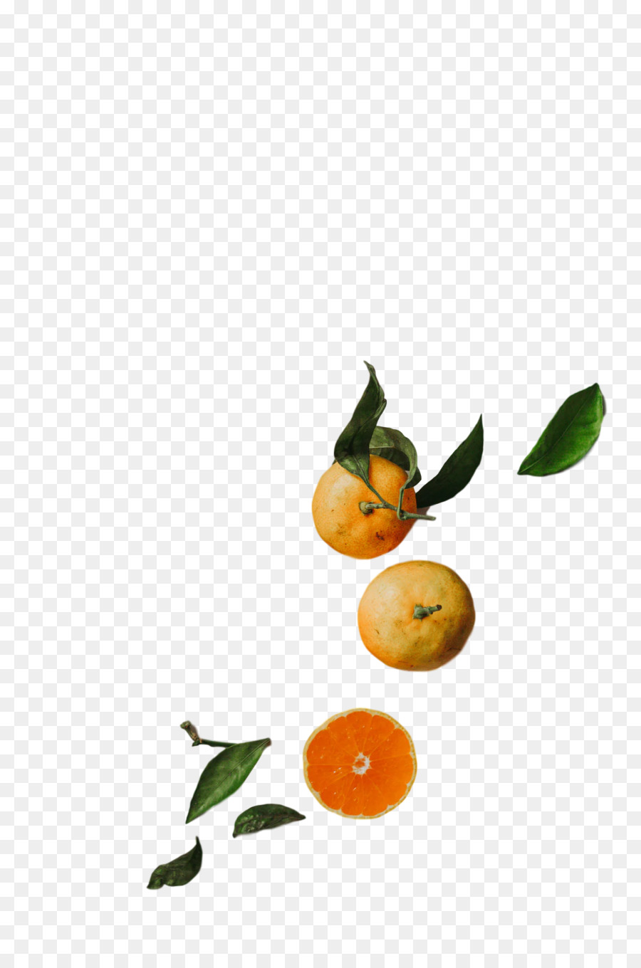 Orange Amère，Calamansi PNG