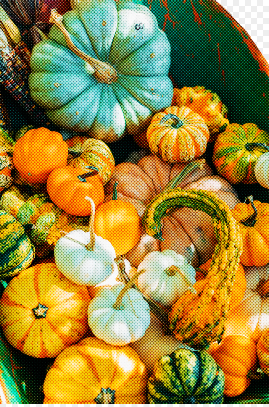 La Courge，Gourde PNG