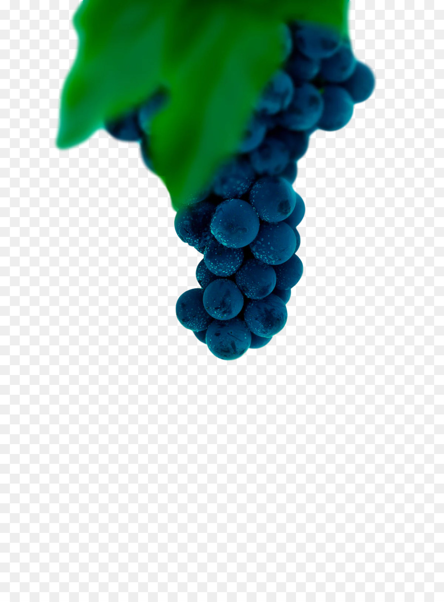 Raisin，Les Vignes PNG