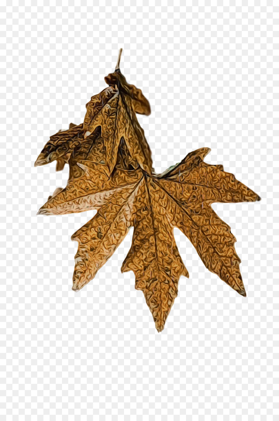 Feuille D'automne，Nature PNG