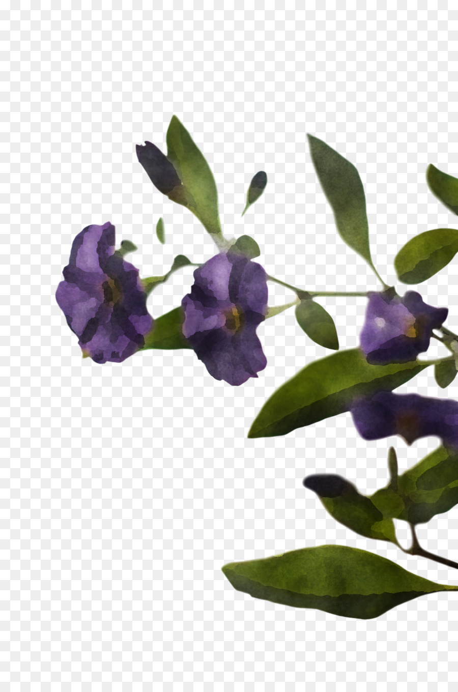 Fleurs Violettes，Fleurir PNG