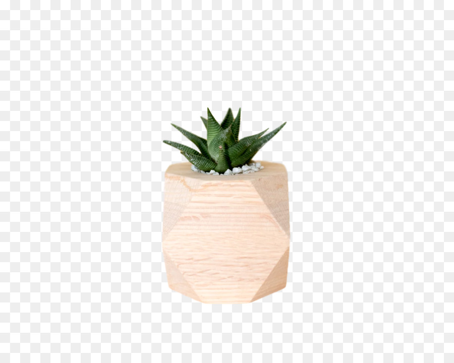 Les Plantes，Flowerpot PNG