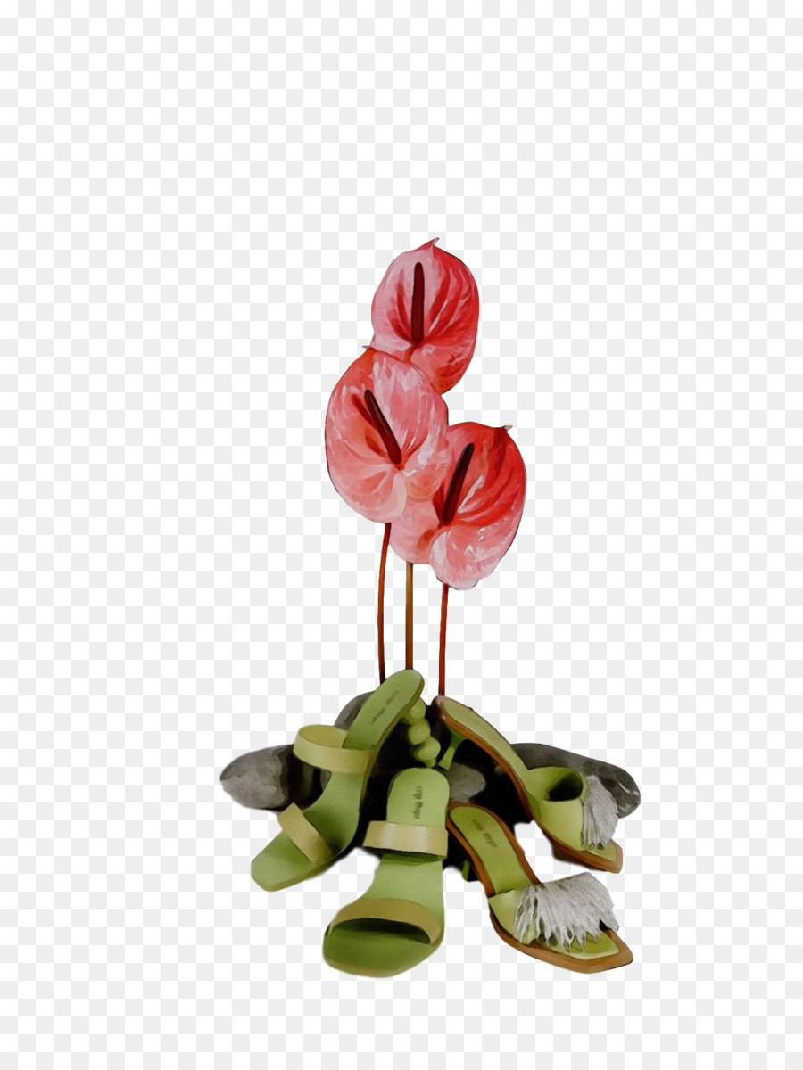 Tige De La Plante，Les Fleurs Coupées PNG