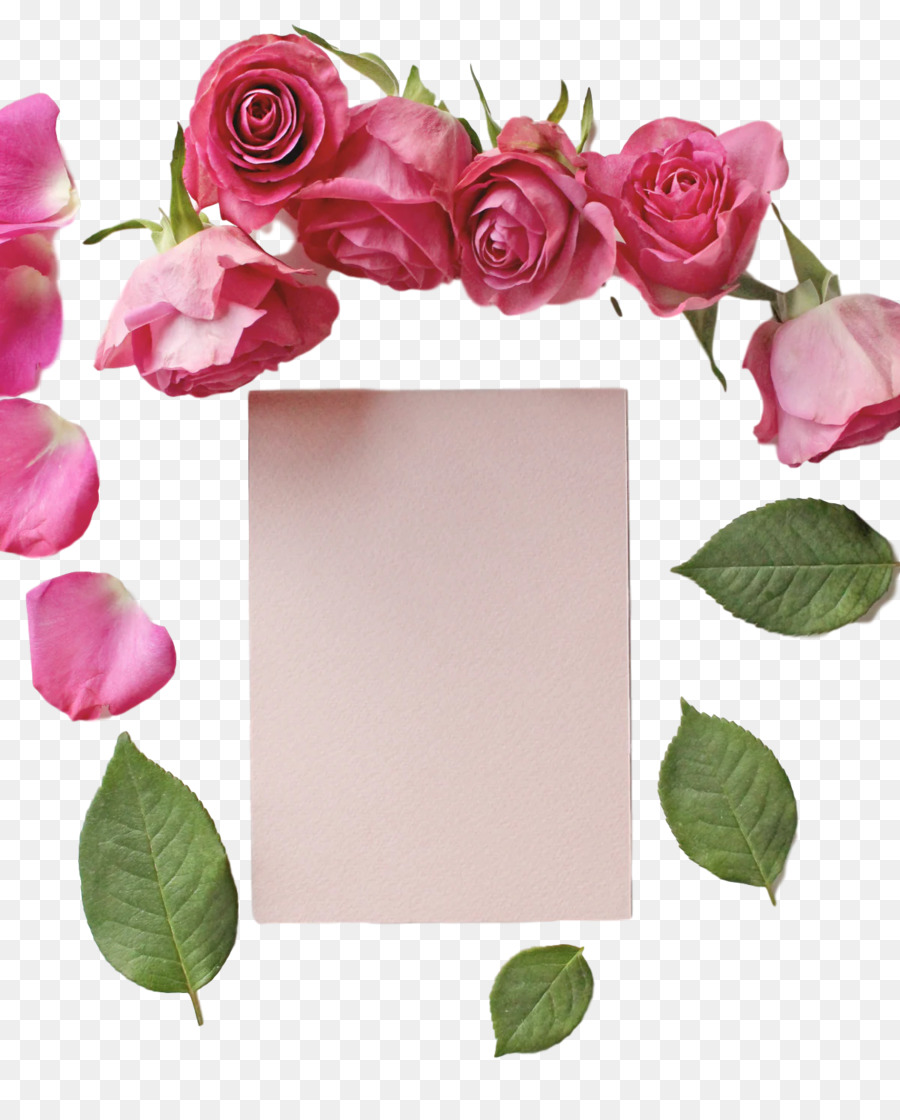 Art Floral，Roses De Jardin PNG