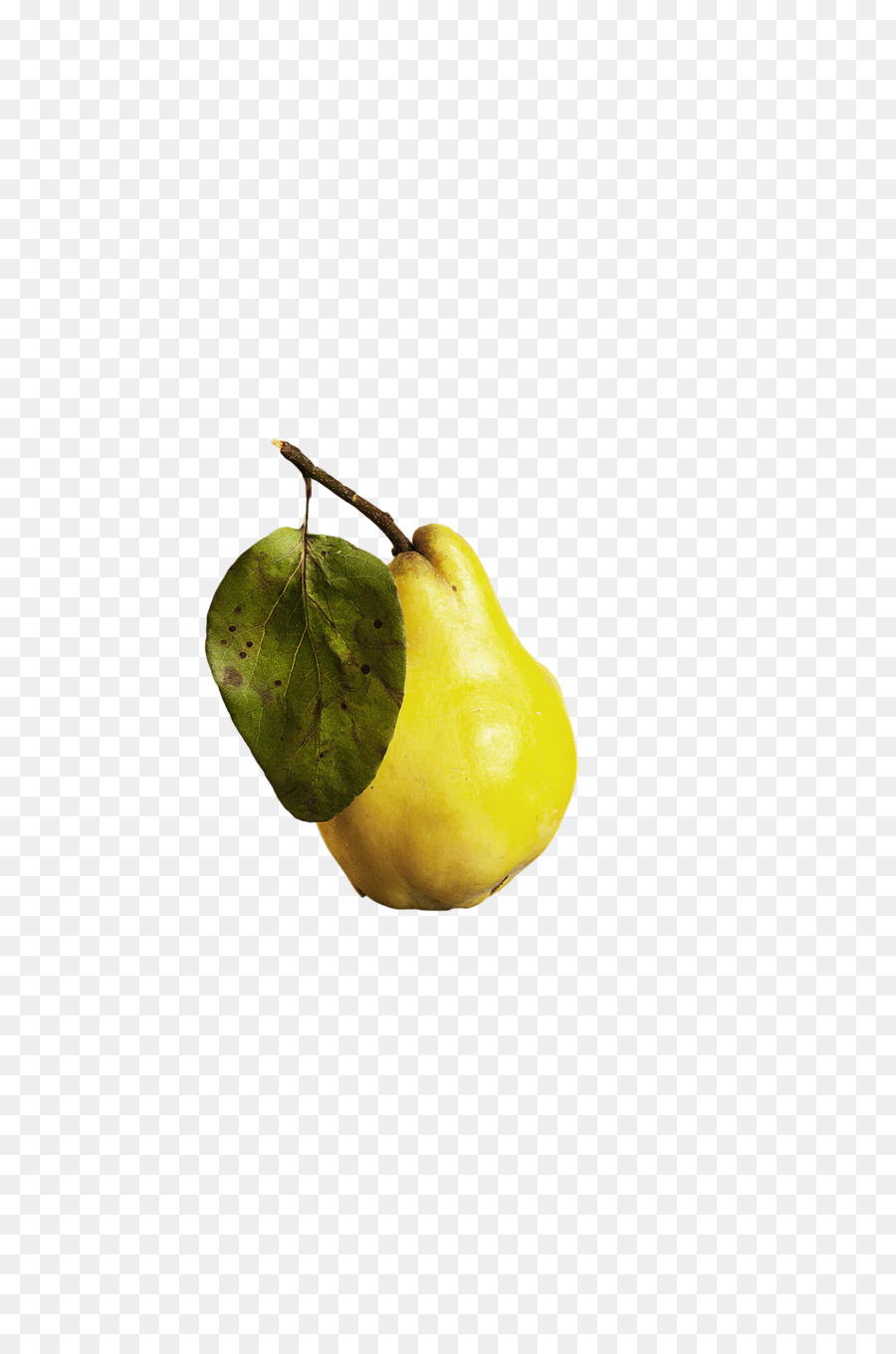 Citron，Plantes PNG