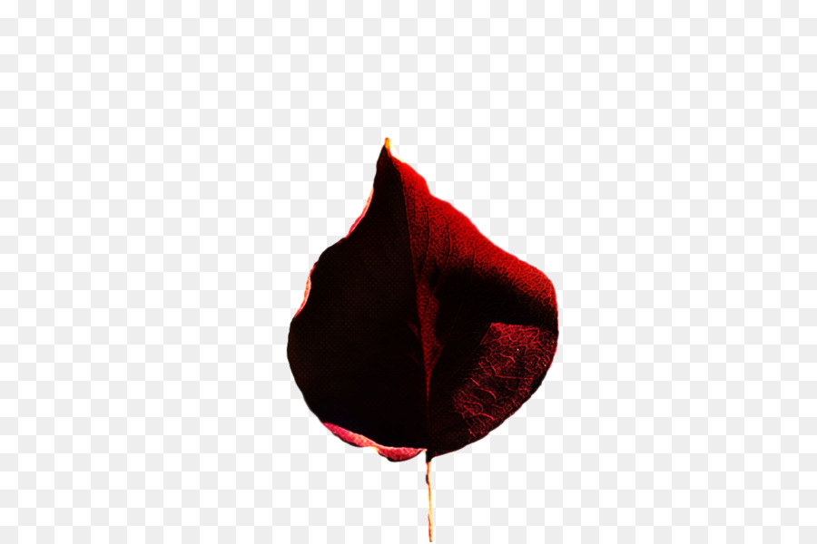 Fleur，Feuille PNG