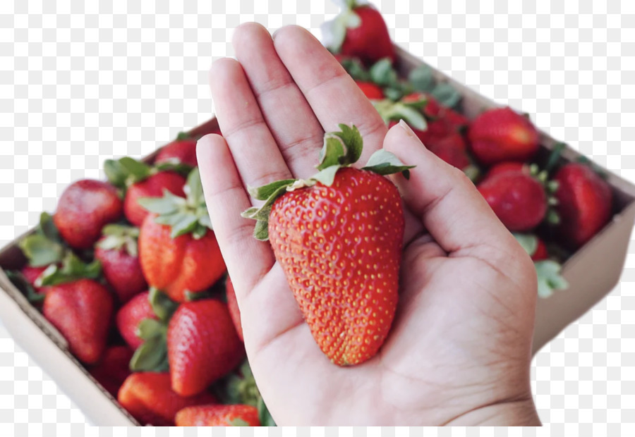 Fraise，La Nourriture Naturelle PNG