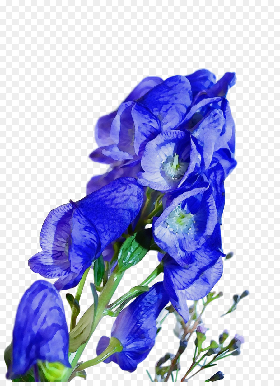 Fleurs Bleues，Fleurir PNG