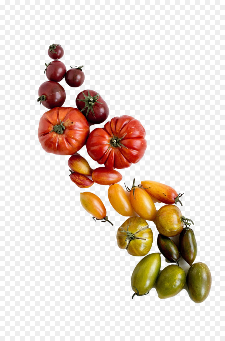Tomate，Cuisine Végétarienne PNG