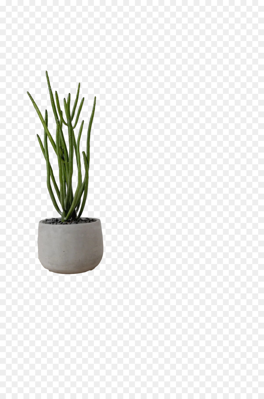 Flowerpot， PNG