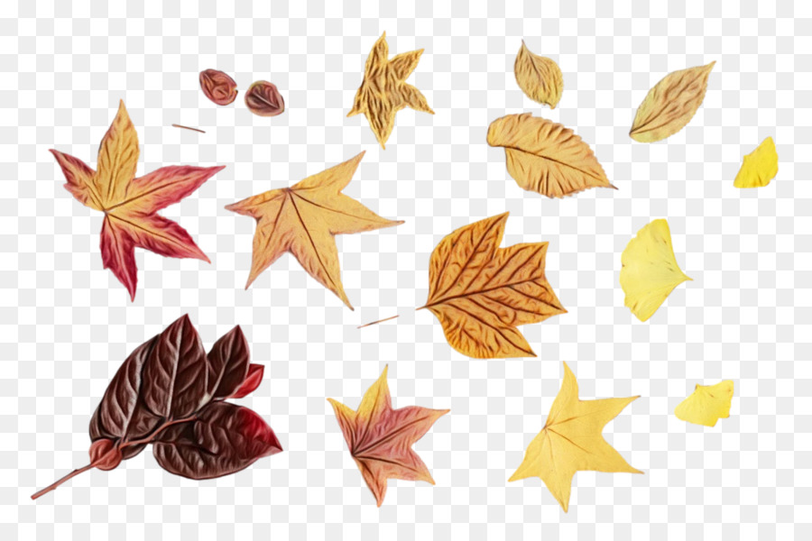 Feuilles D'automne，Automne PNG