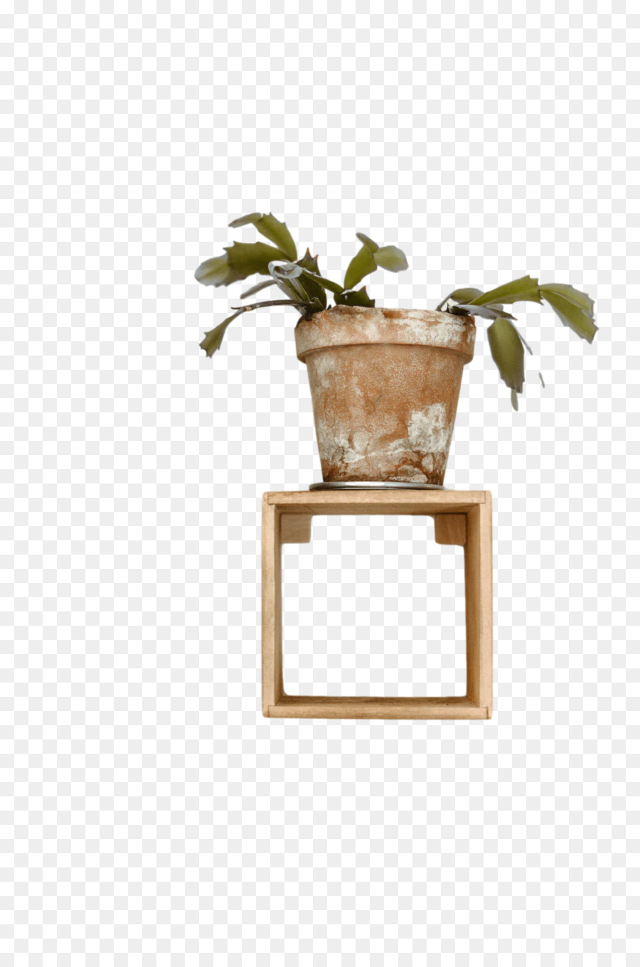 Pot De Fleur，Bricolage PNG