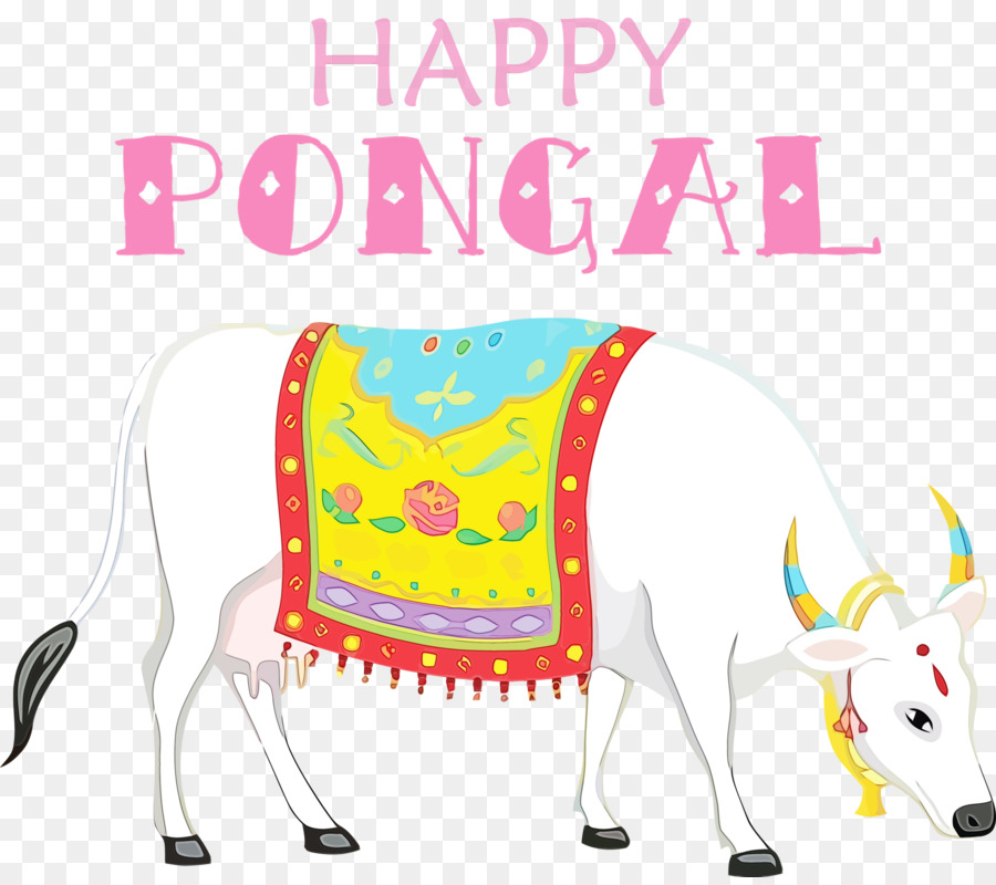 Célébration Du Pongal，Vache PNG