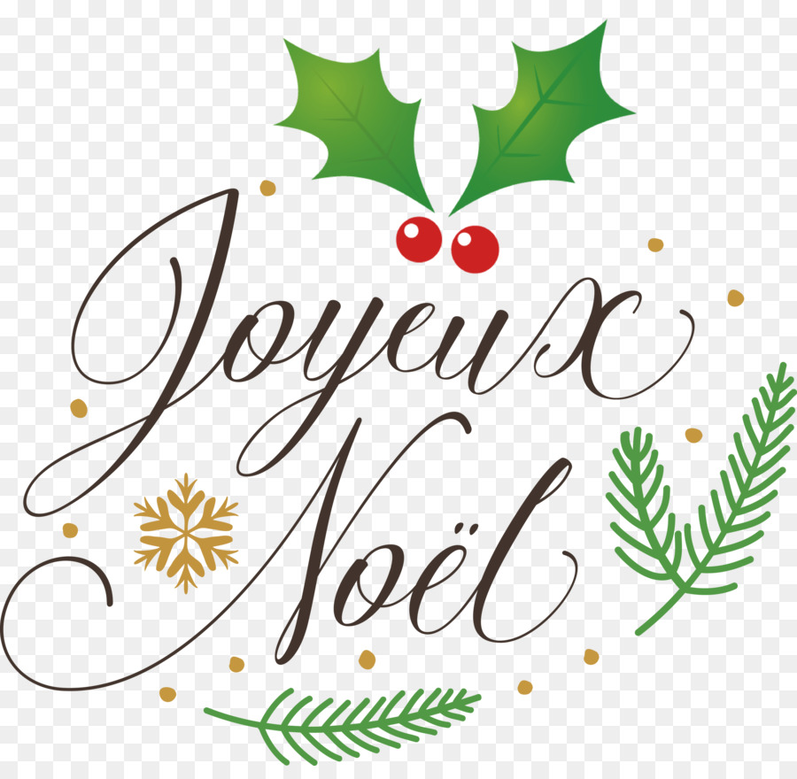 Joyeux Noël，Houx PNG