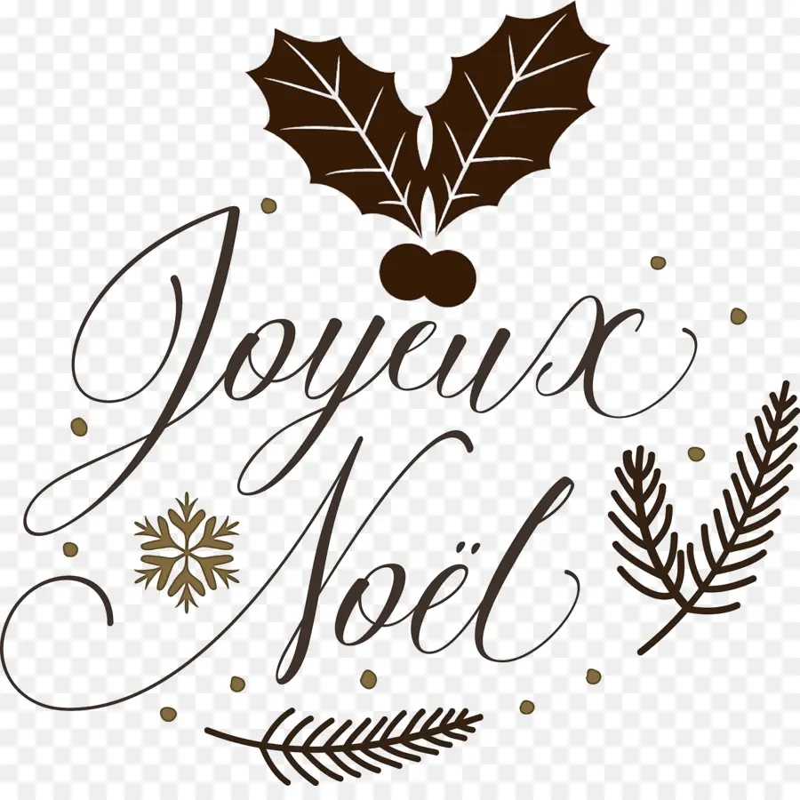 Texte Joyeux Noël，Houx PNG