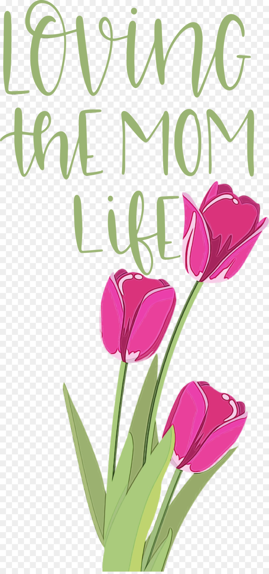 Design Floral，Tige De La Plante PNG