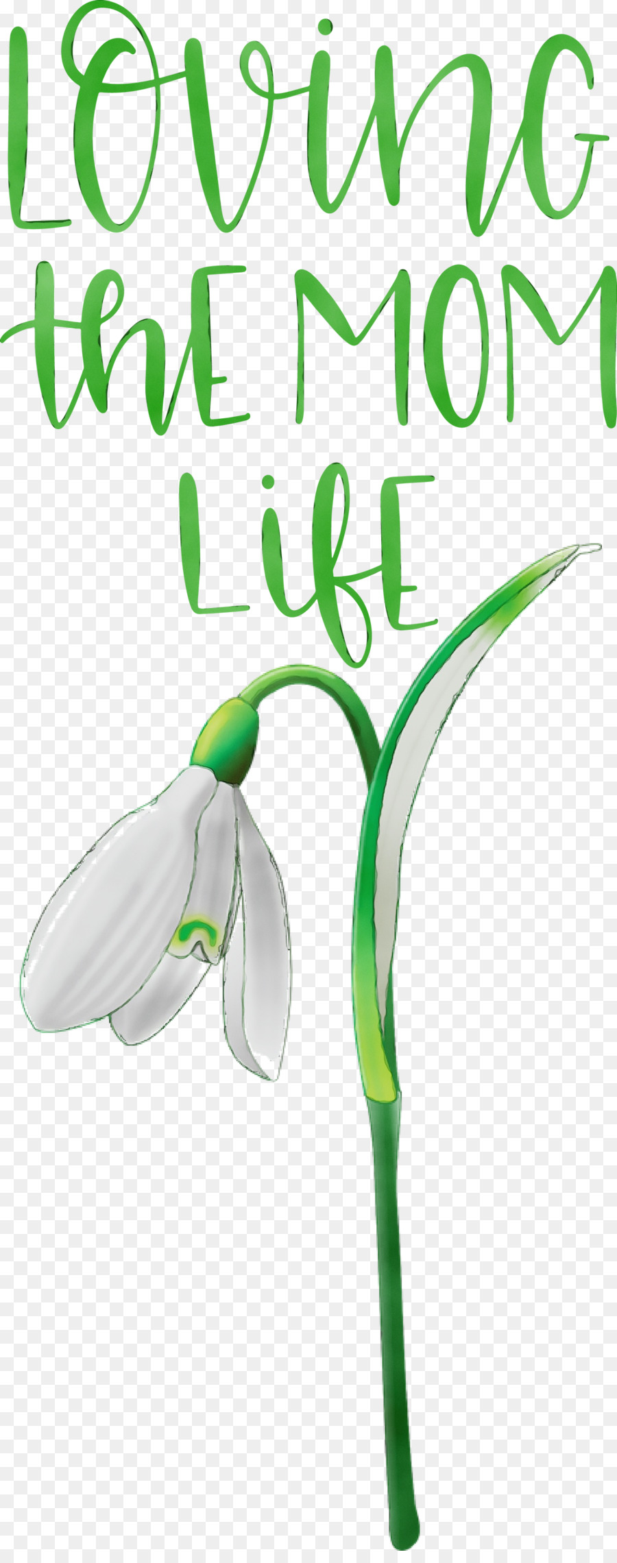 Vert，Fleur PNG