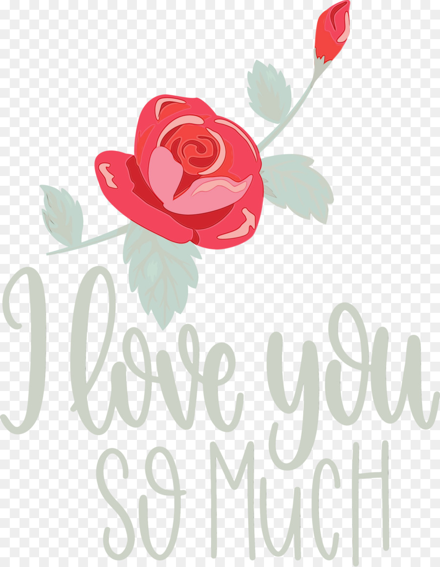 Je T'aime Tellement，Rose PNG