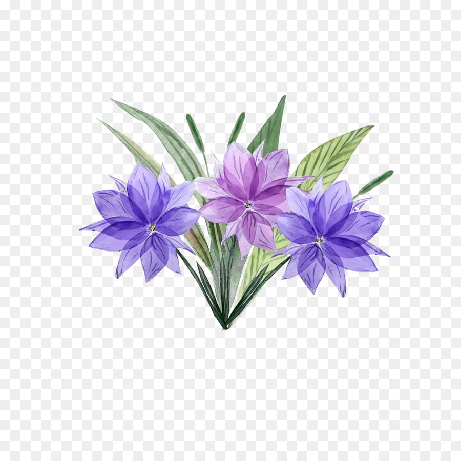 Fleurs，Floraison PNG