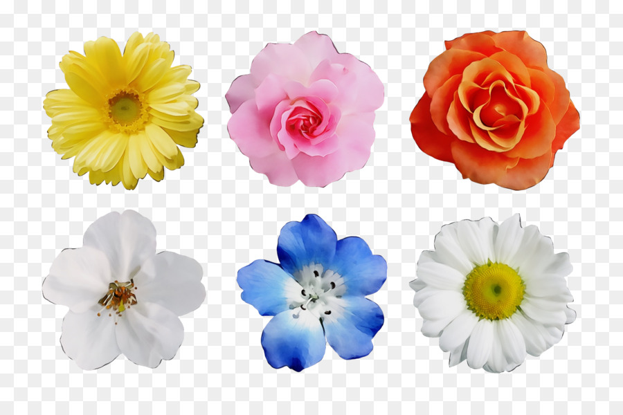 Design Floral，Les Fleurs Coupées PNG