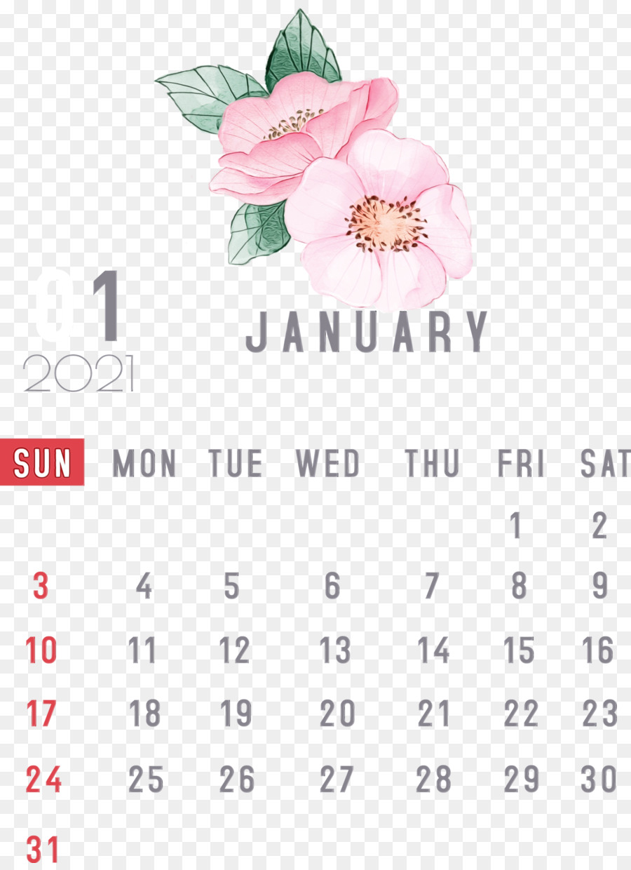 Calendrier De Janvier，Date PNG