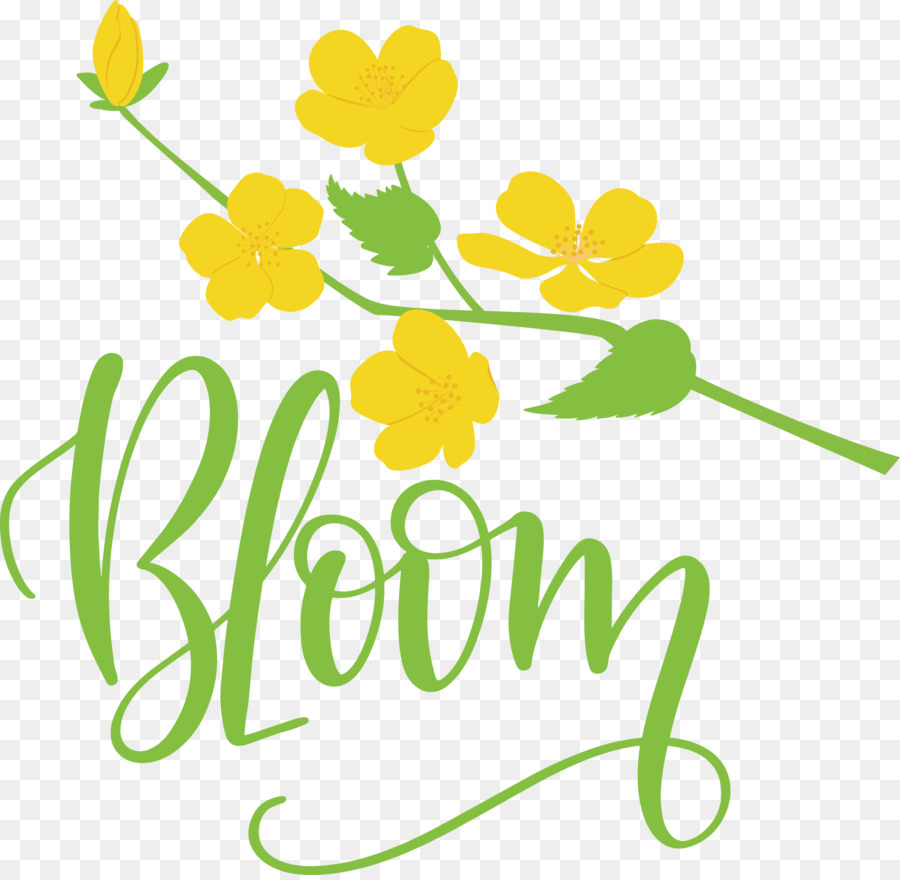 Design Floral，Feuille PNG