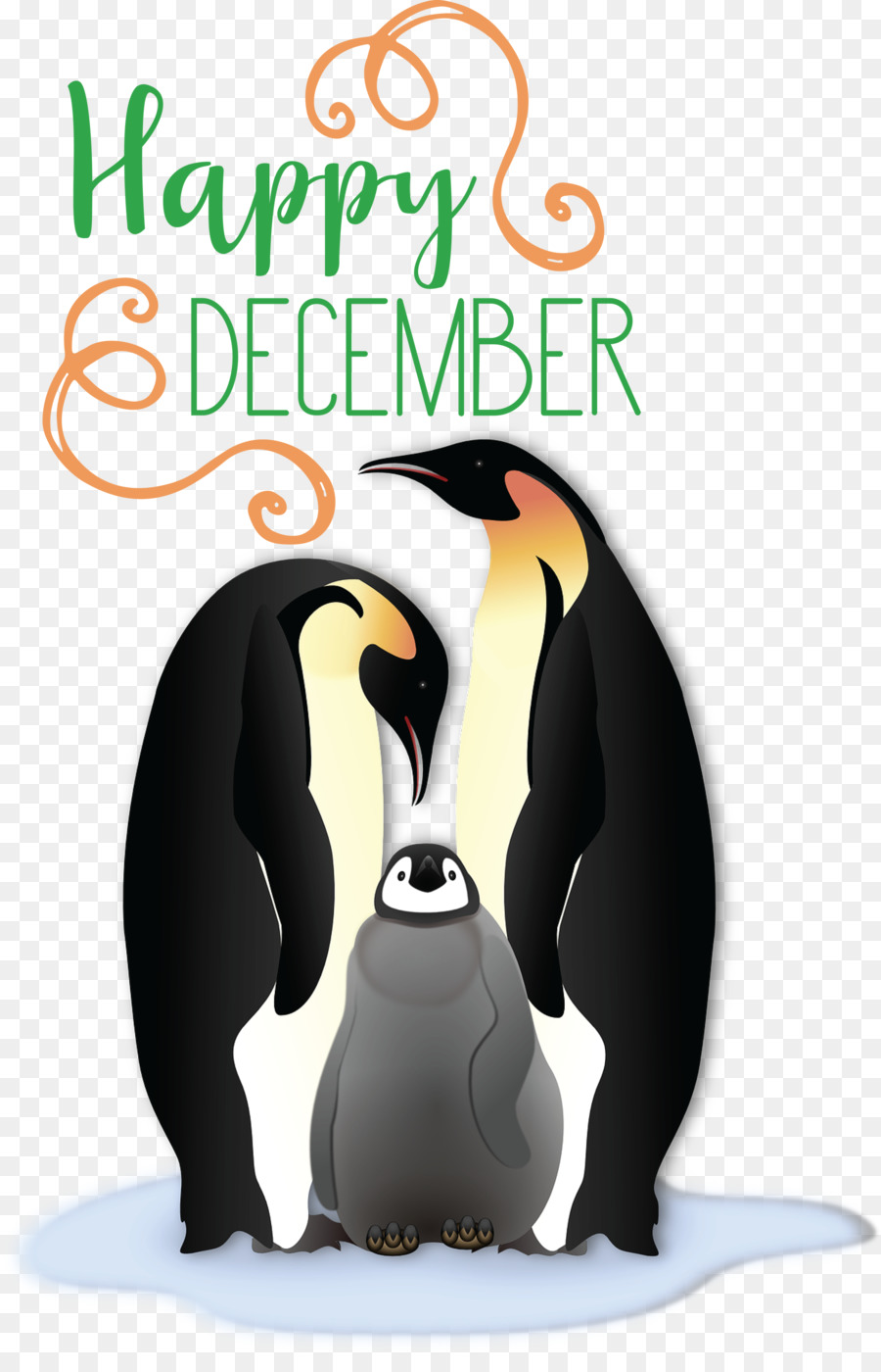 King Pingouin，Les Oiseaux PNG