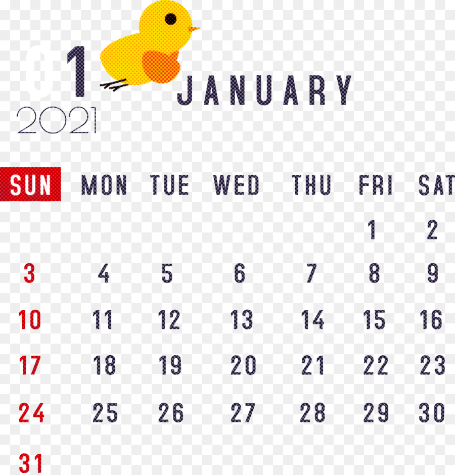 Calendrier，Date PNG