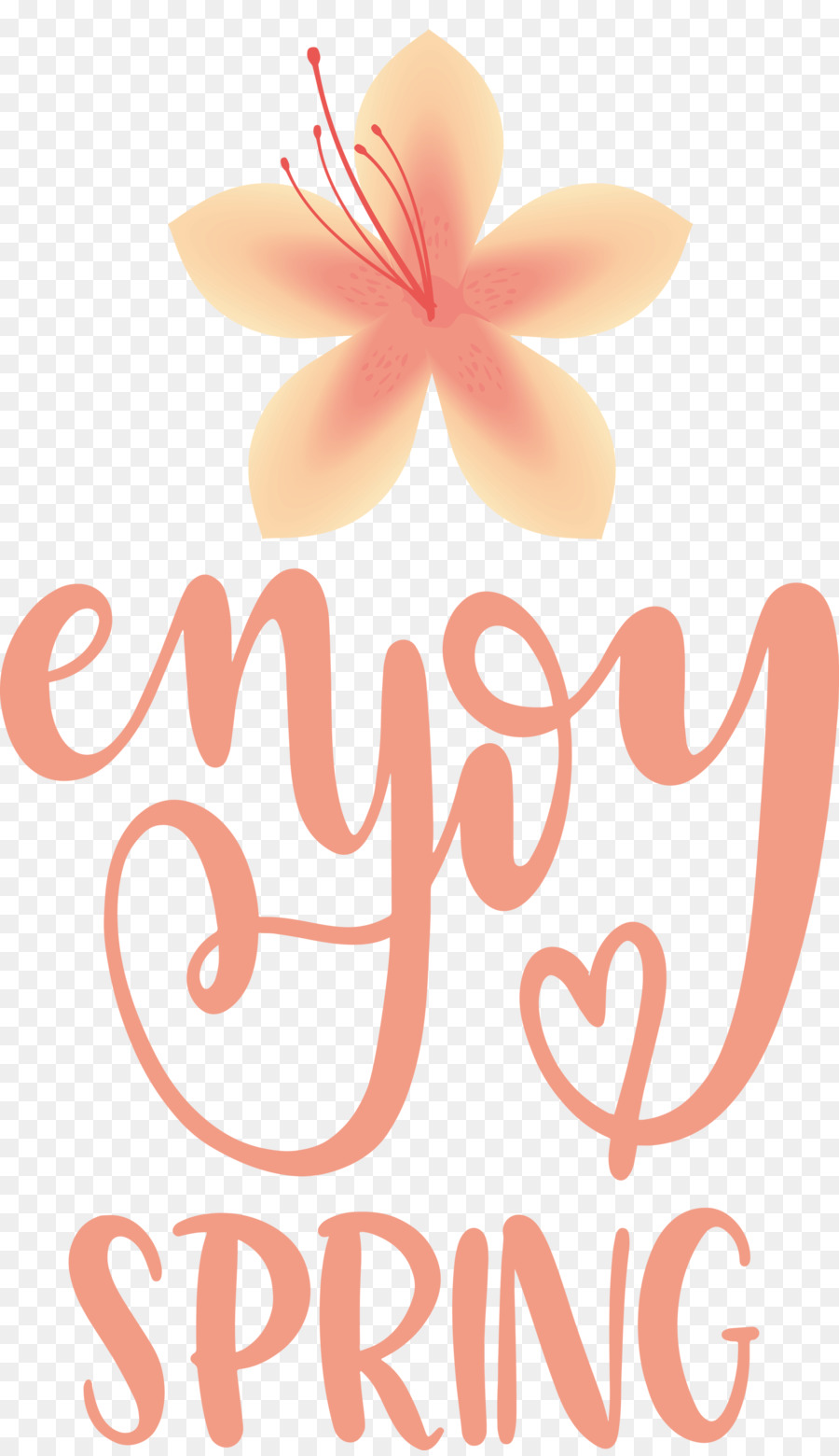 Design Floral，Logo PNG